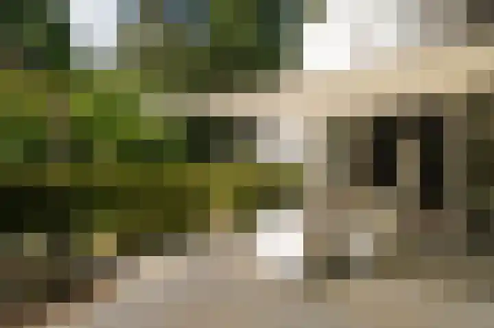 Koekoekslaan 2 Vught thumbnail 43