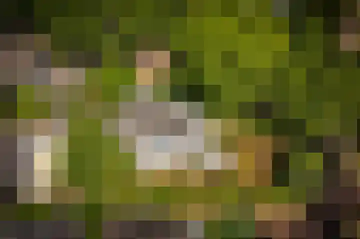 Koekoekslaan 2 Vught thumbnail 48