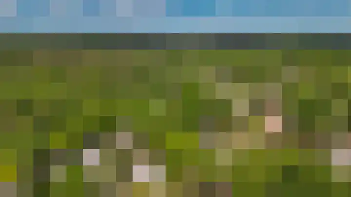 Koekoekslaan 2 Vught thumbnail 49