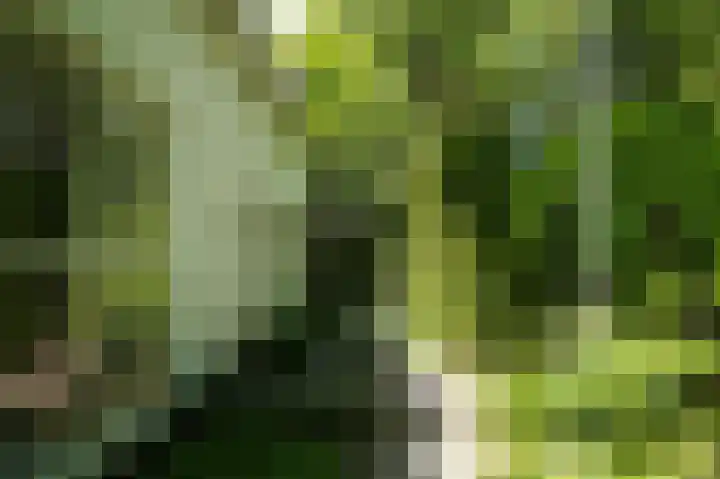 Koekoekslaan 2 Vught thumbnail 5