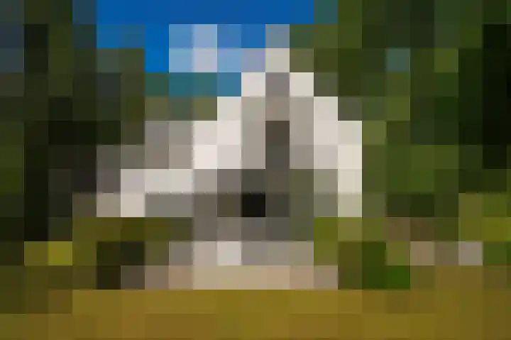 Koekoekslaan 2 Vught thumbnail 50
