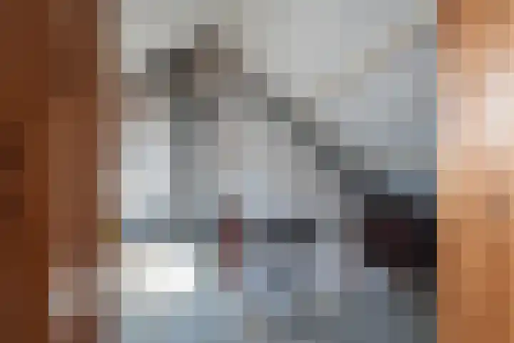 Koekoekslaan 24 Markelo thumbnail 17