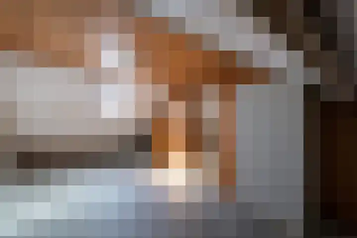 Koekoekslaan 24 Markelo thumbnail 18
