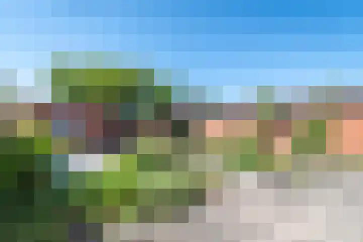 Koekoekslaan 24 Markelo thumbnail 20