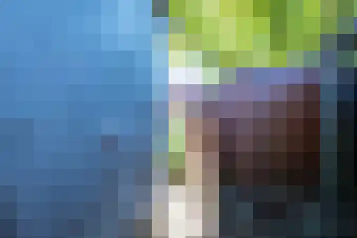 Koekoekslaan 24 Markelo thumbnail 21