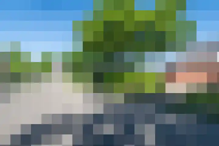 Koekoekslaan 24 Markelo thumbnail 22