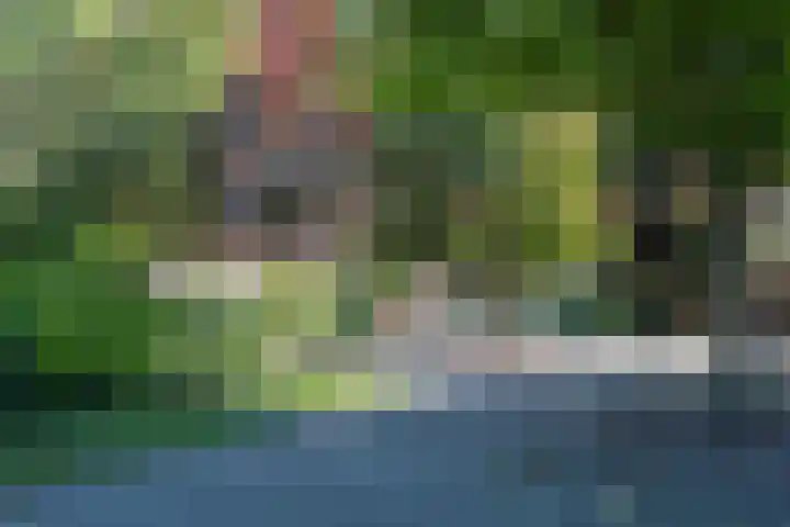 Koekoekslaan 24 Markelo thumbnail 23