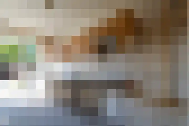 Koekoekslaan 24 Markelo thumbnail 5