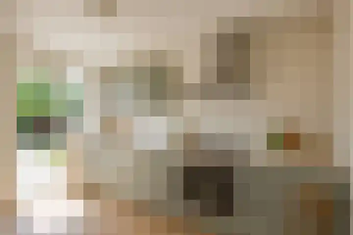 Koekoekslaan 24 Markelo thumbnail 6