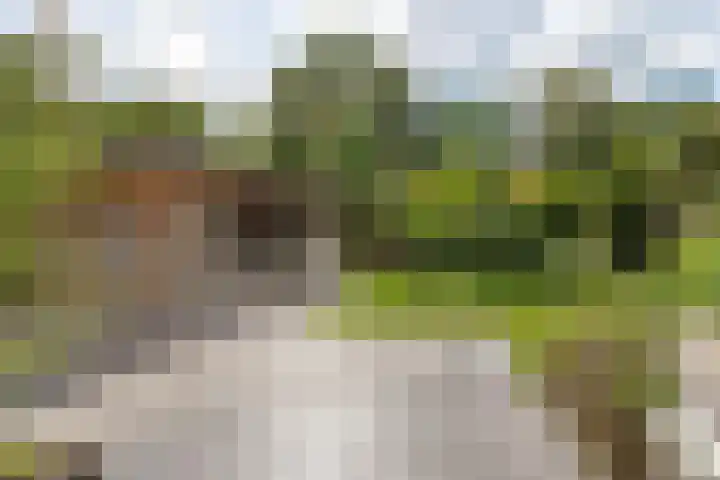 Koekoekslaan 32 Nieuwegein thumbnail 27