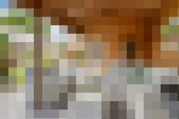 Koekoekslaan 32 Nieuwegein thumbnail 28