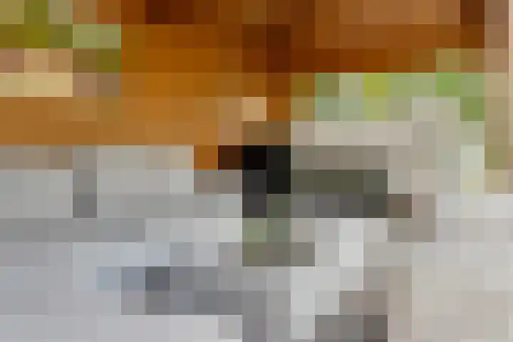 Koekoekslaan 32 Nieuwegein thumbnail 30