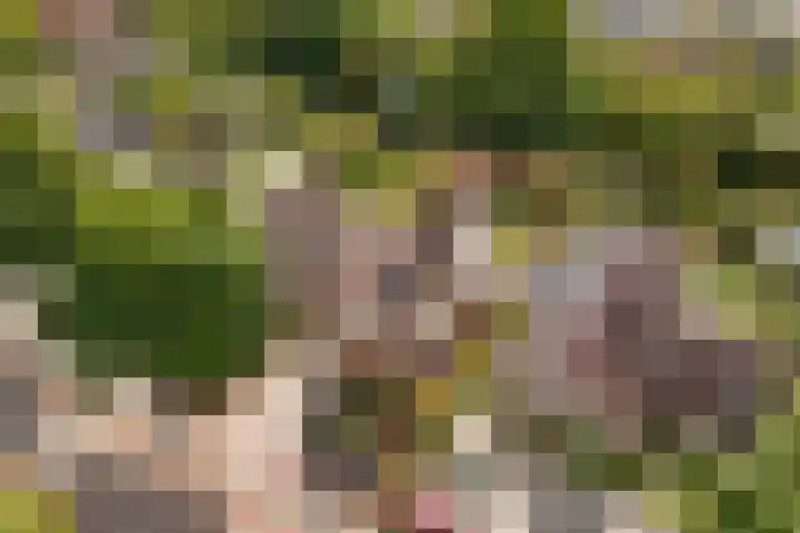 Koekoekslaan 32 Nieuwegein thumbnail 31