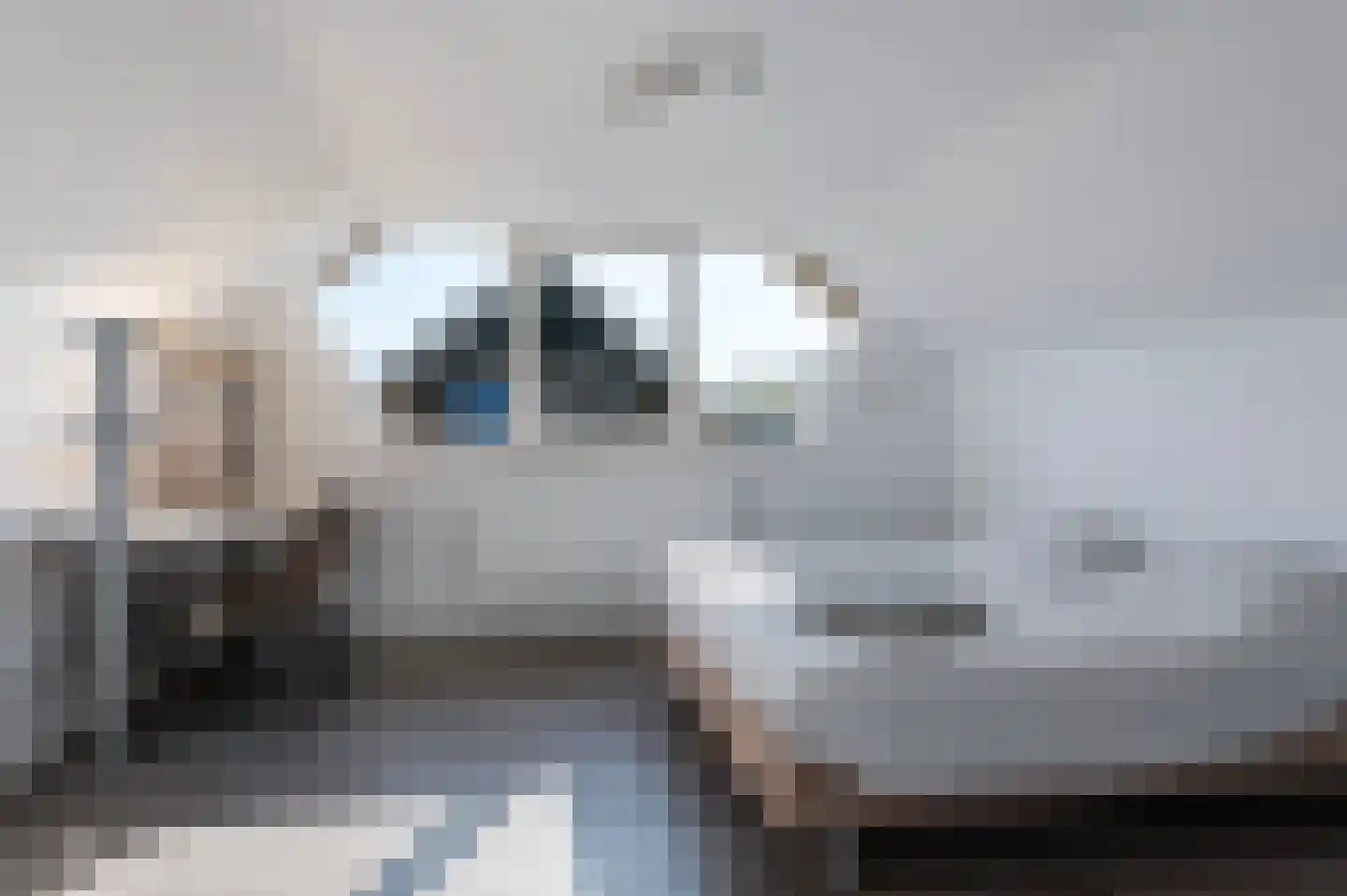 Koekoekslaan 48 Markelo thumbnail 24