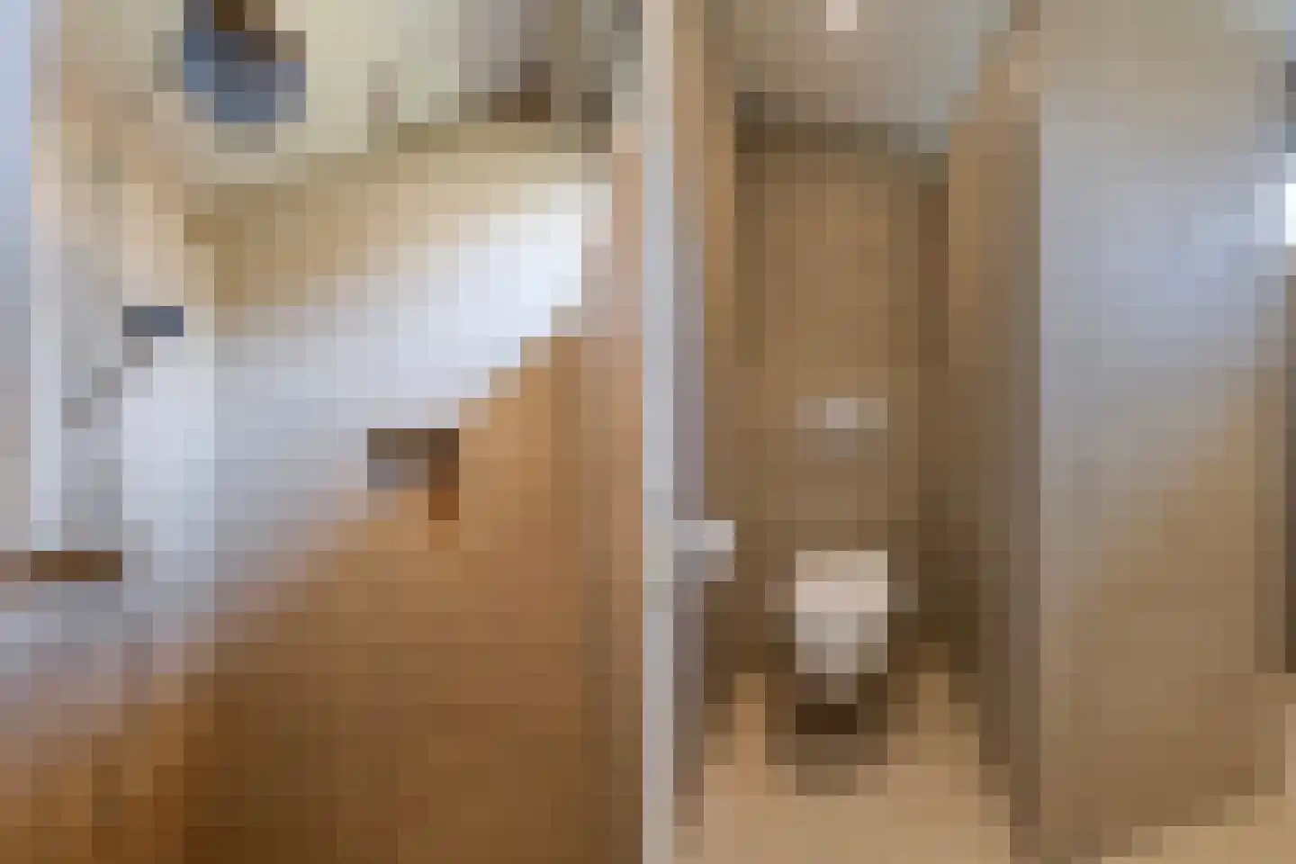 Koekoekslaan 48 Markelo thumbnail 25