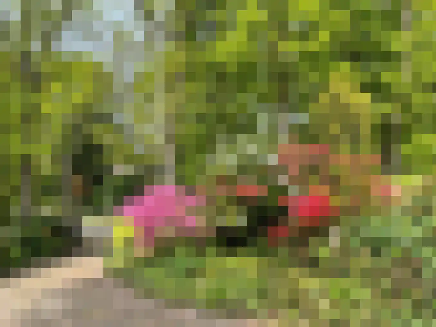 Koekoekslaan 5 Wassenaar thumbnail 10