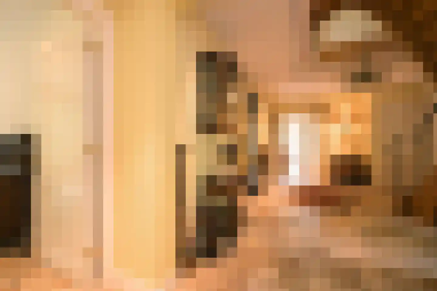 Koekoekslaan 5 Wassenaar thumbnail 12