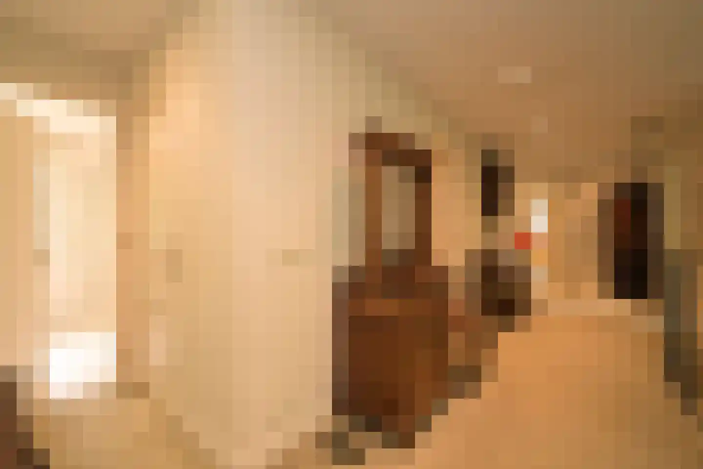 Koekoekslaan 5 Wassenaar thumbnail 18