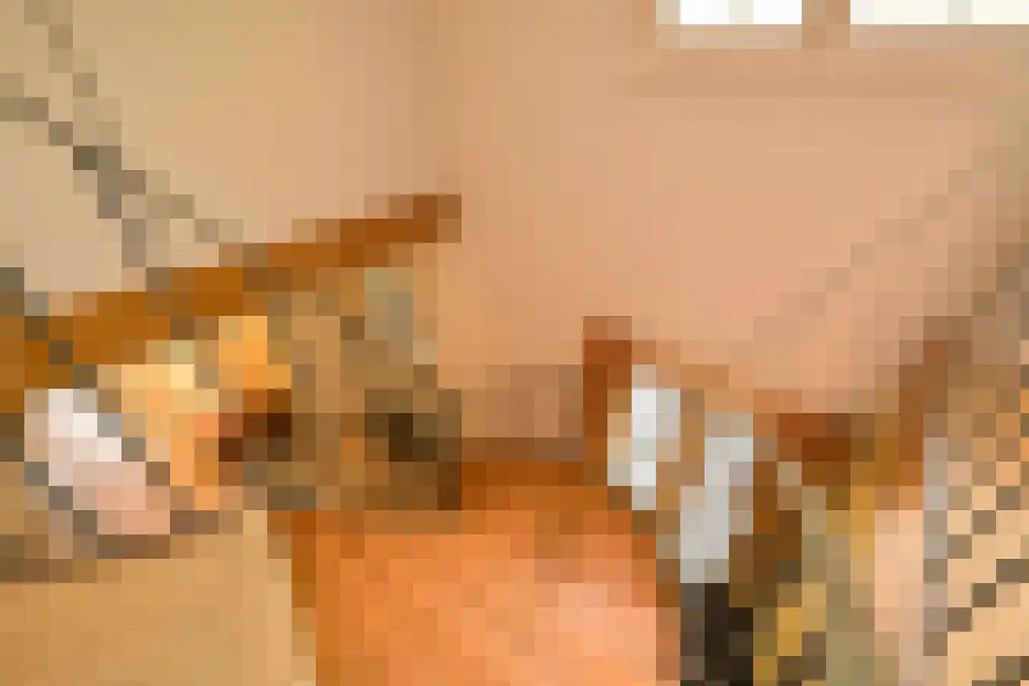 Koekoekslaan 5 Wassenaar thumbnail 24