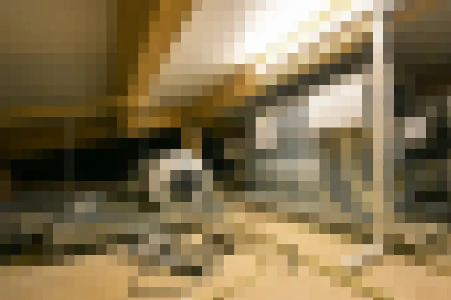 Koekoekslaan 5 Wassenaar thumbnail 37