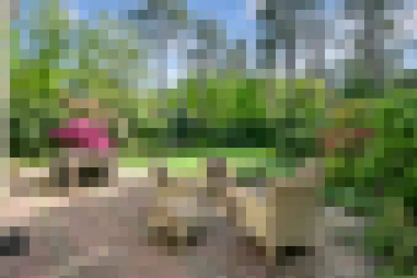 Koekoekslaan 5 Wassenaar thumbnail 32