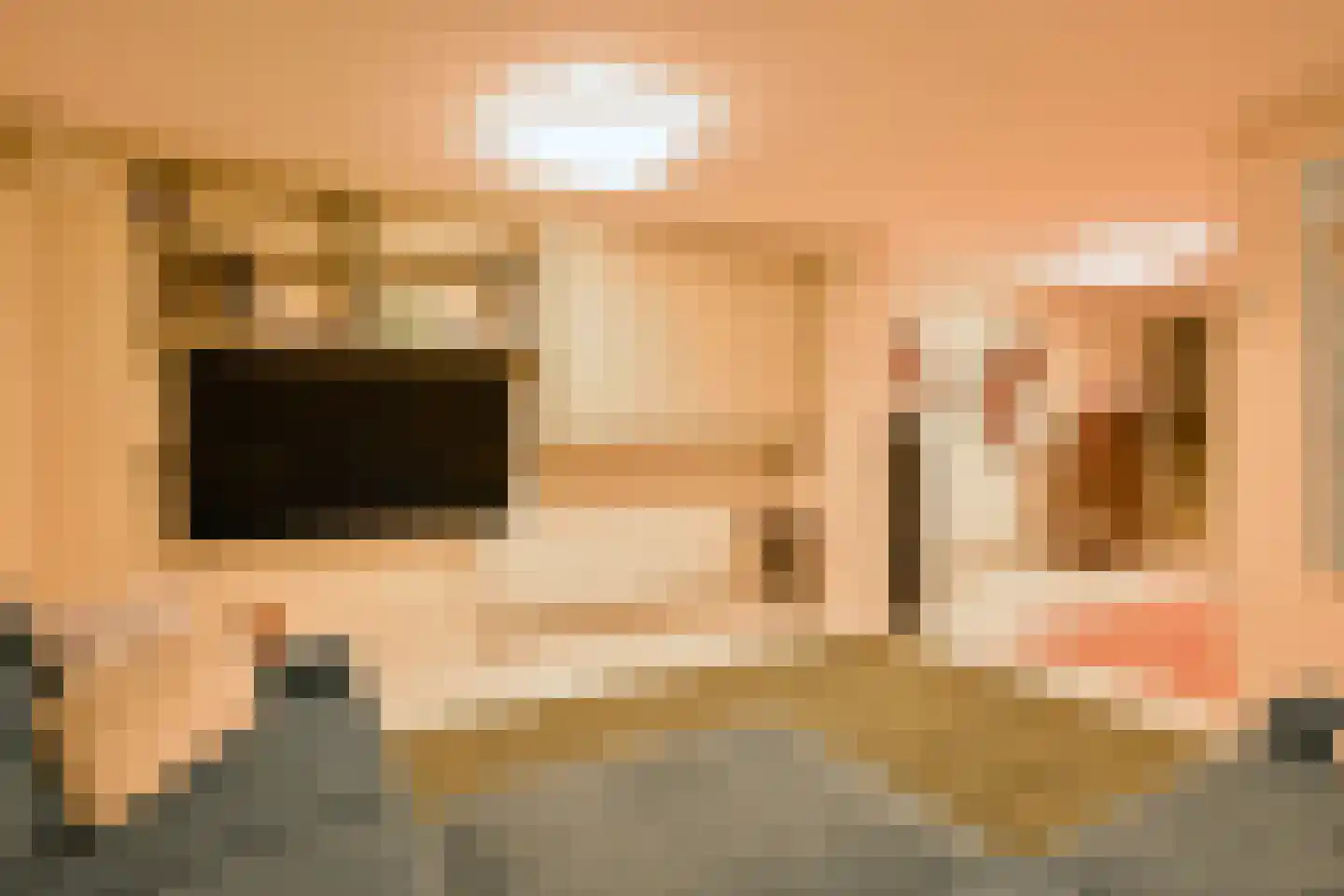 Koekoekslaan 5 Wassenaar thumbnail 38