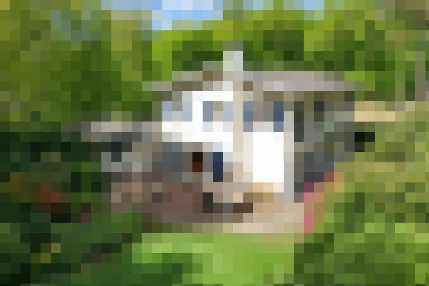 Koekoekslaan 5 Wassenaar thumbnail 4