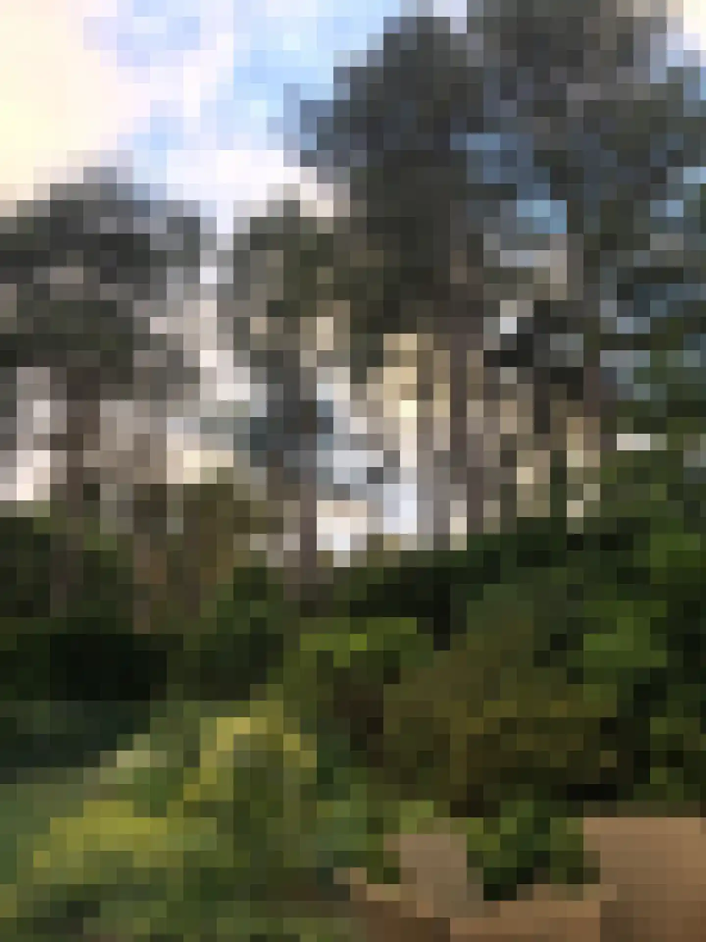 Koekoekslaan 5 Wassenaar thumbnail 35