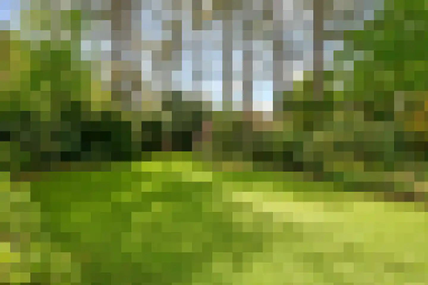 Koekoekslaan 5 Wassenaar thumbnail 47