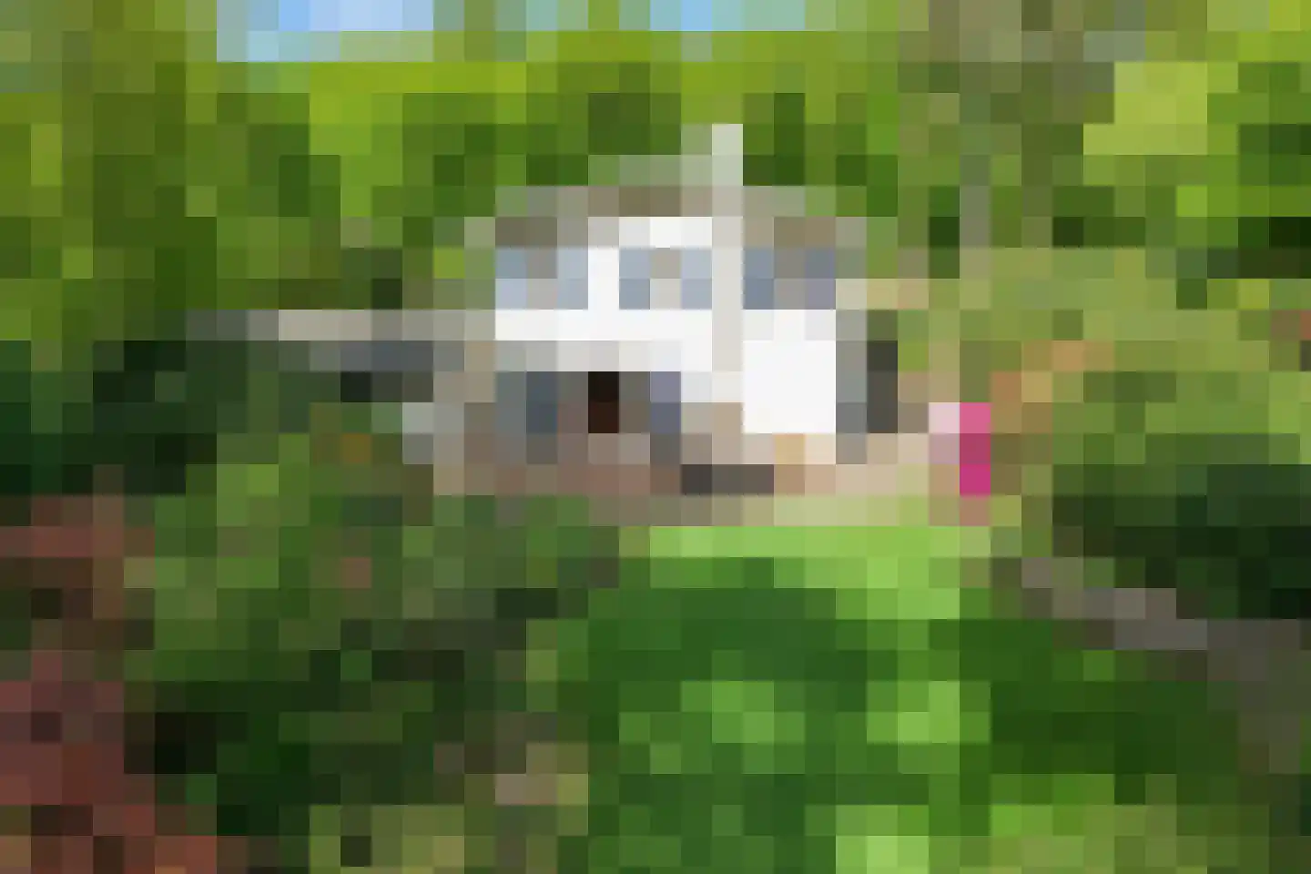 Koekoekslaan 5 Wassenaar thumbnail 50