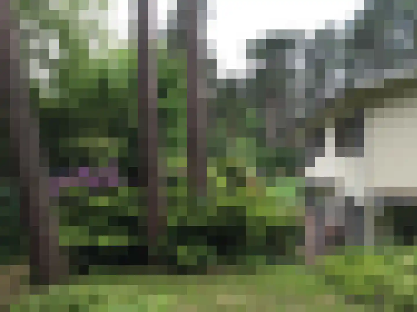 Koekoekslaan 5 Wassenaar thumbnail 52
