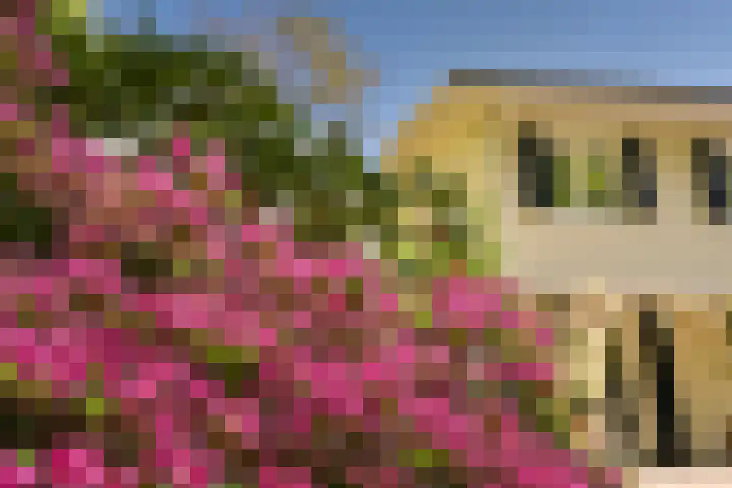 Koekoekslaan 5 Wassenaar thumbnail 54
