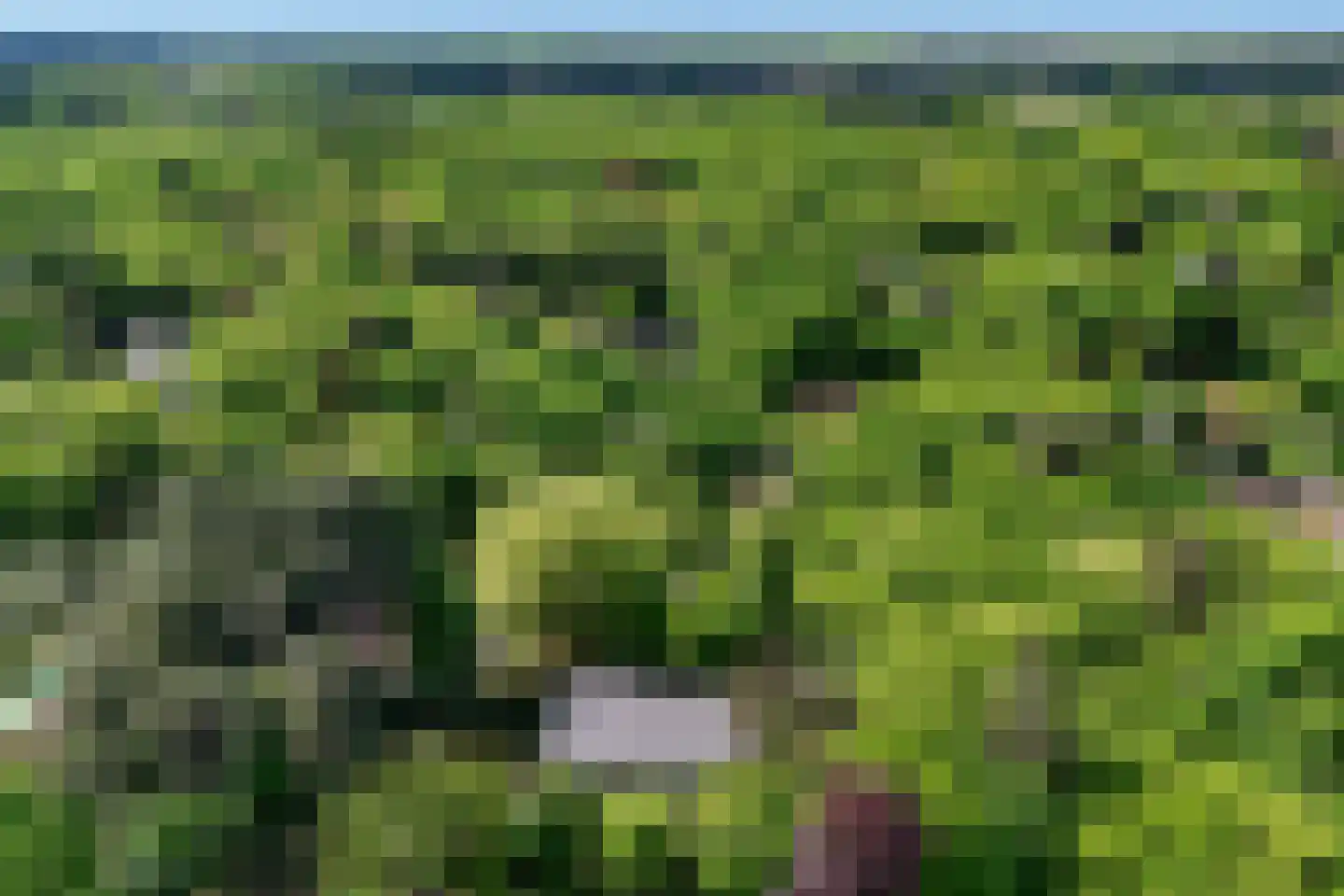 Koekoekslaan 5 Wassenaar thumbnail 55