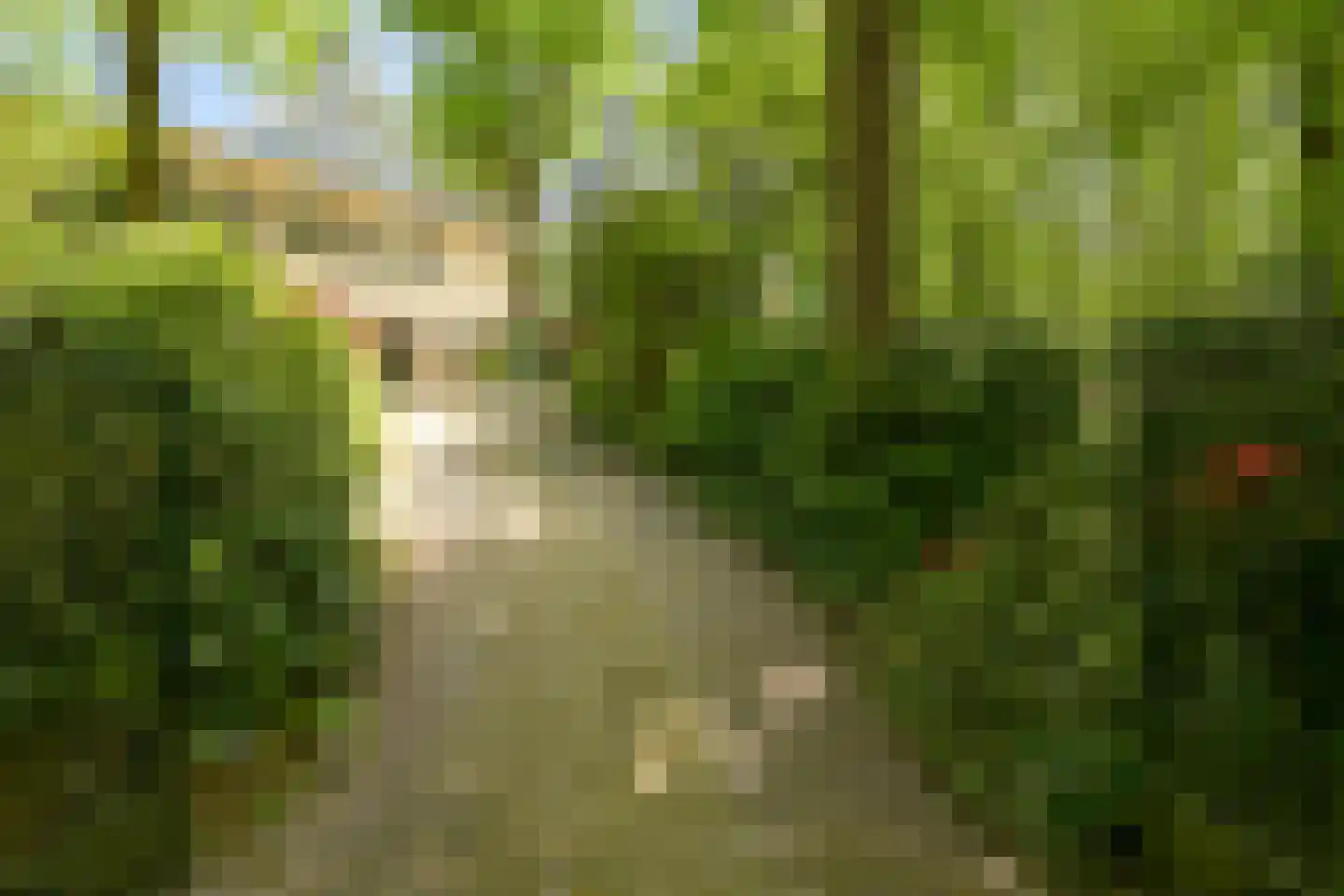 Koekoekslaan 5 Wassenaar thumbnail 7