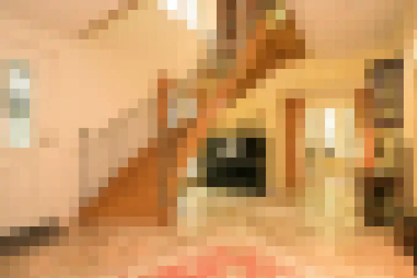 Koekoekslaan 5 Wassenaar thumbnail 8