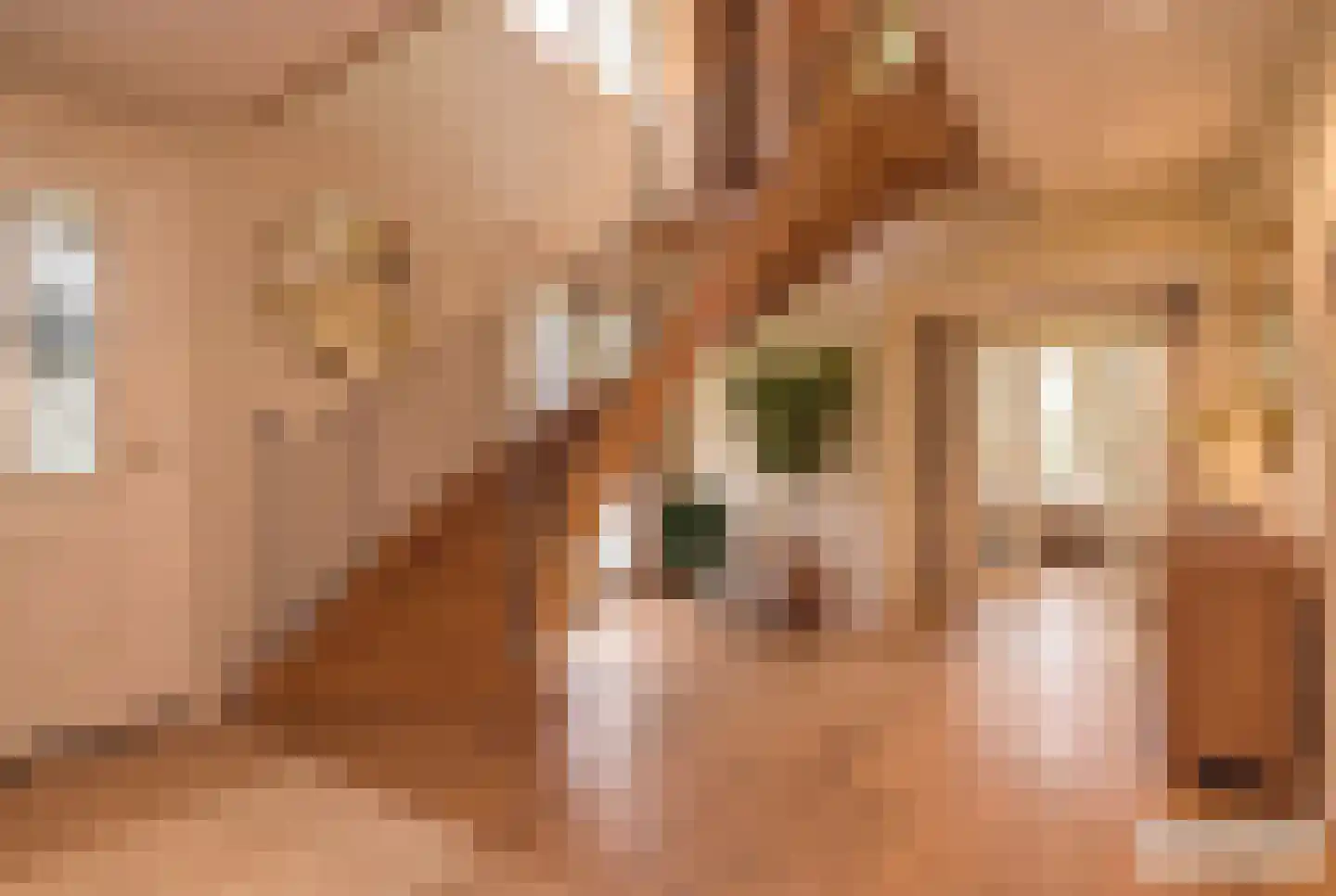 Koekoekslaan 5 Wassenaar thumbnail 9
