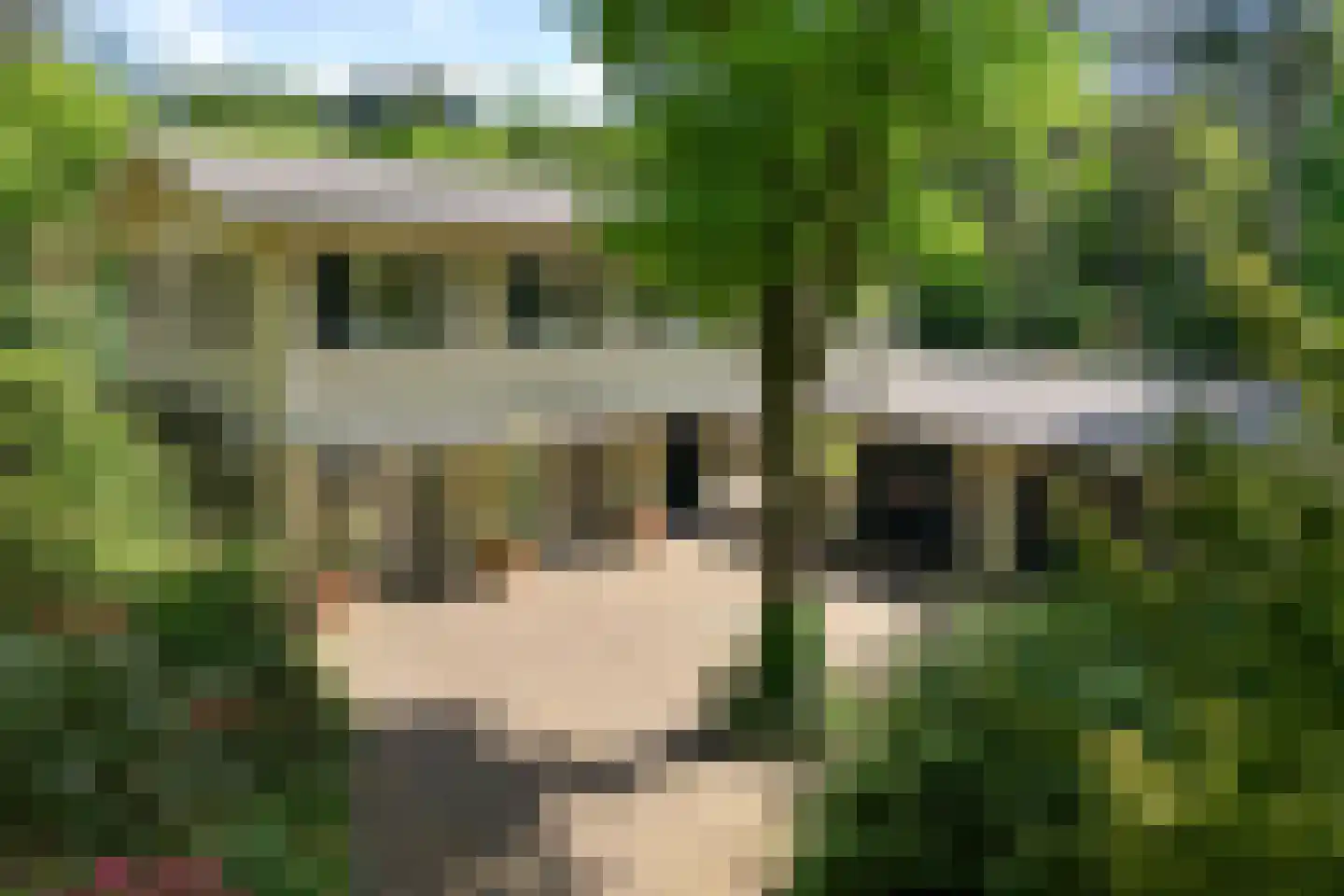 Koekoekslaan 5 Wassenaar thumbnail 9