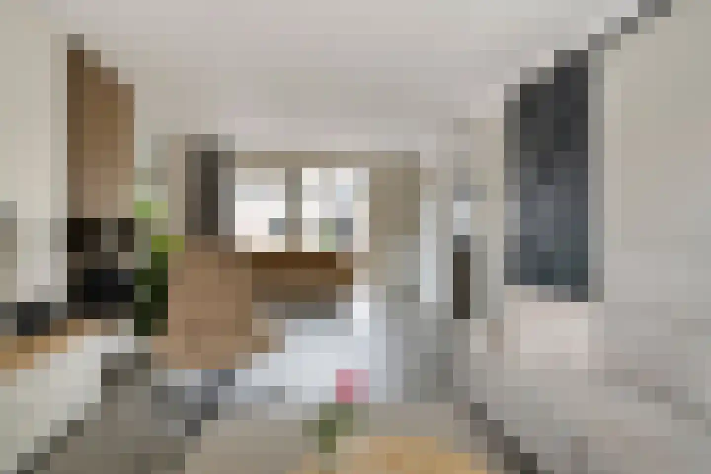 Koekoekslaan 52 Markelo thumbnail 13