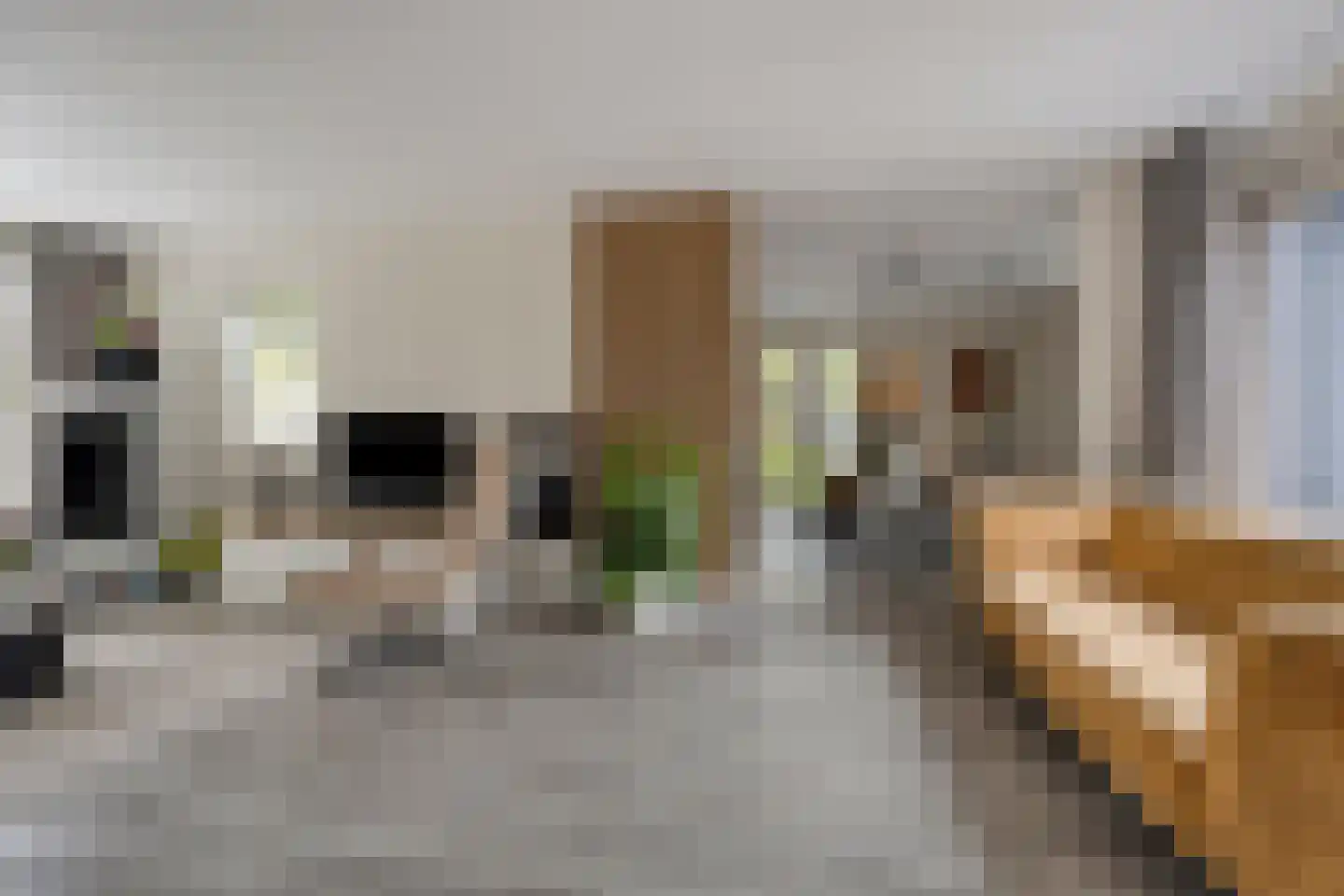 Koekoekslaan 52 Markelo thumbnail 15