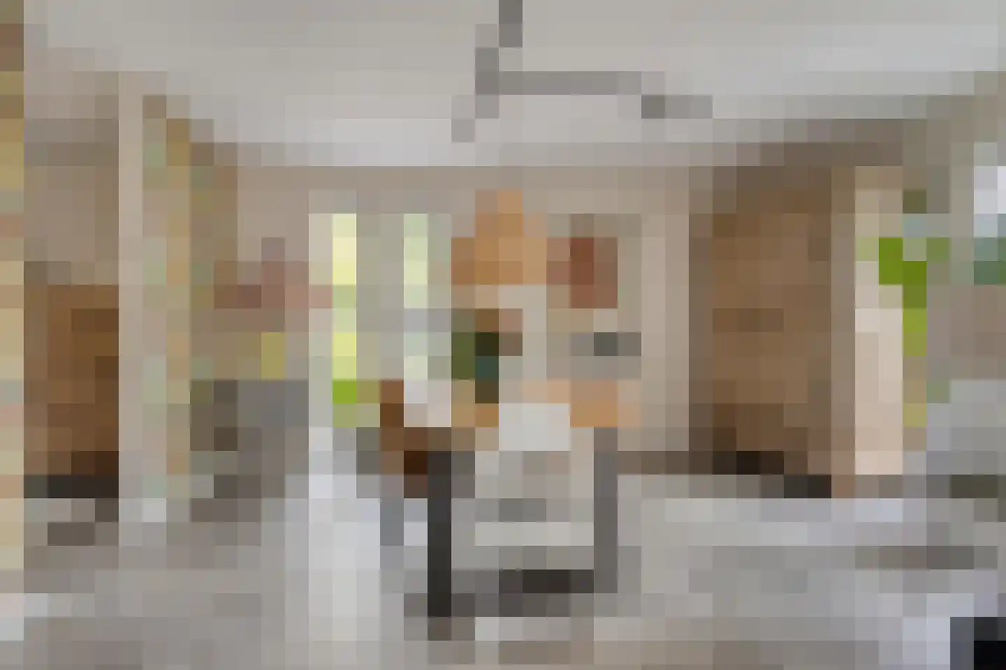 Koekoekslaan 52 Markelo thumbnail 17