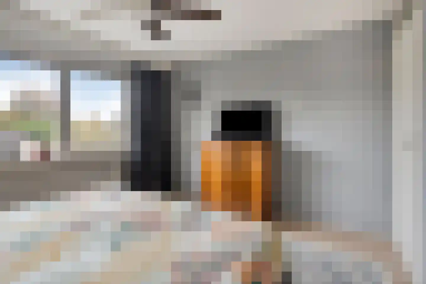 Koekoekslaan 52 Markelo thumbnail 27