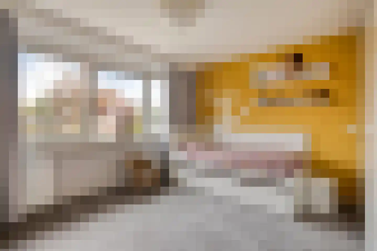 Koekoekslaan 52 Markelo thumbnail 28