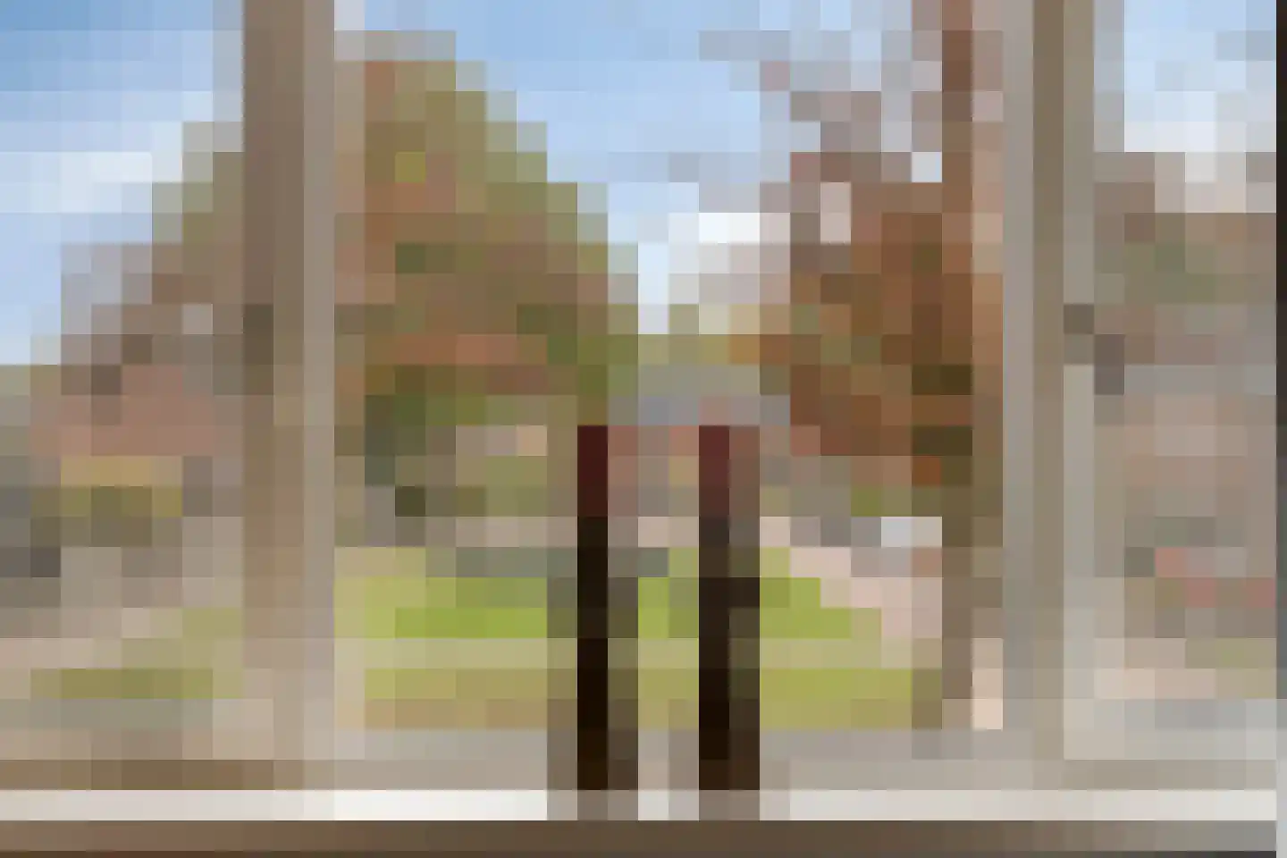 Koekoekslaan 52 Markelo thumbnail 29