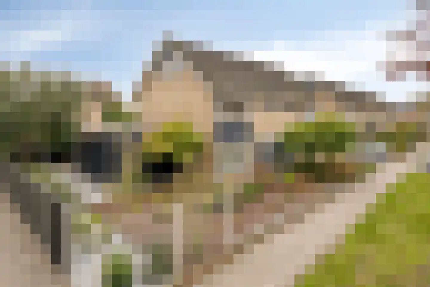 Koekoekslaan 52 Markelo foto 3