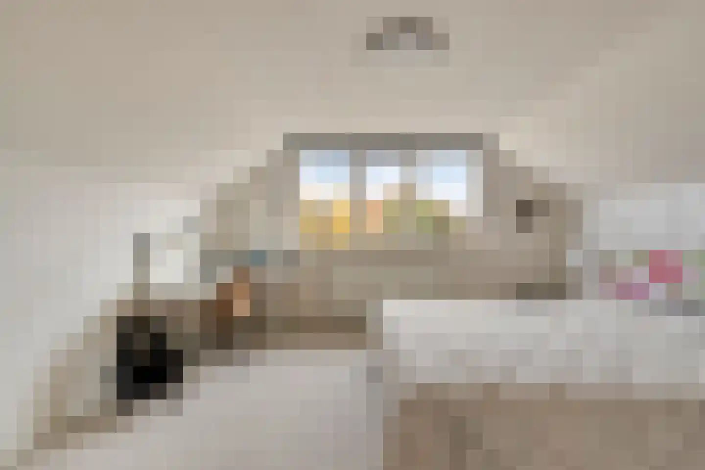 Koekoekslaan 52 Markelo thumbnail 36
