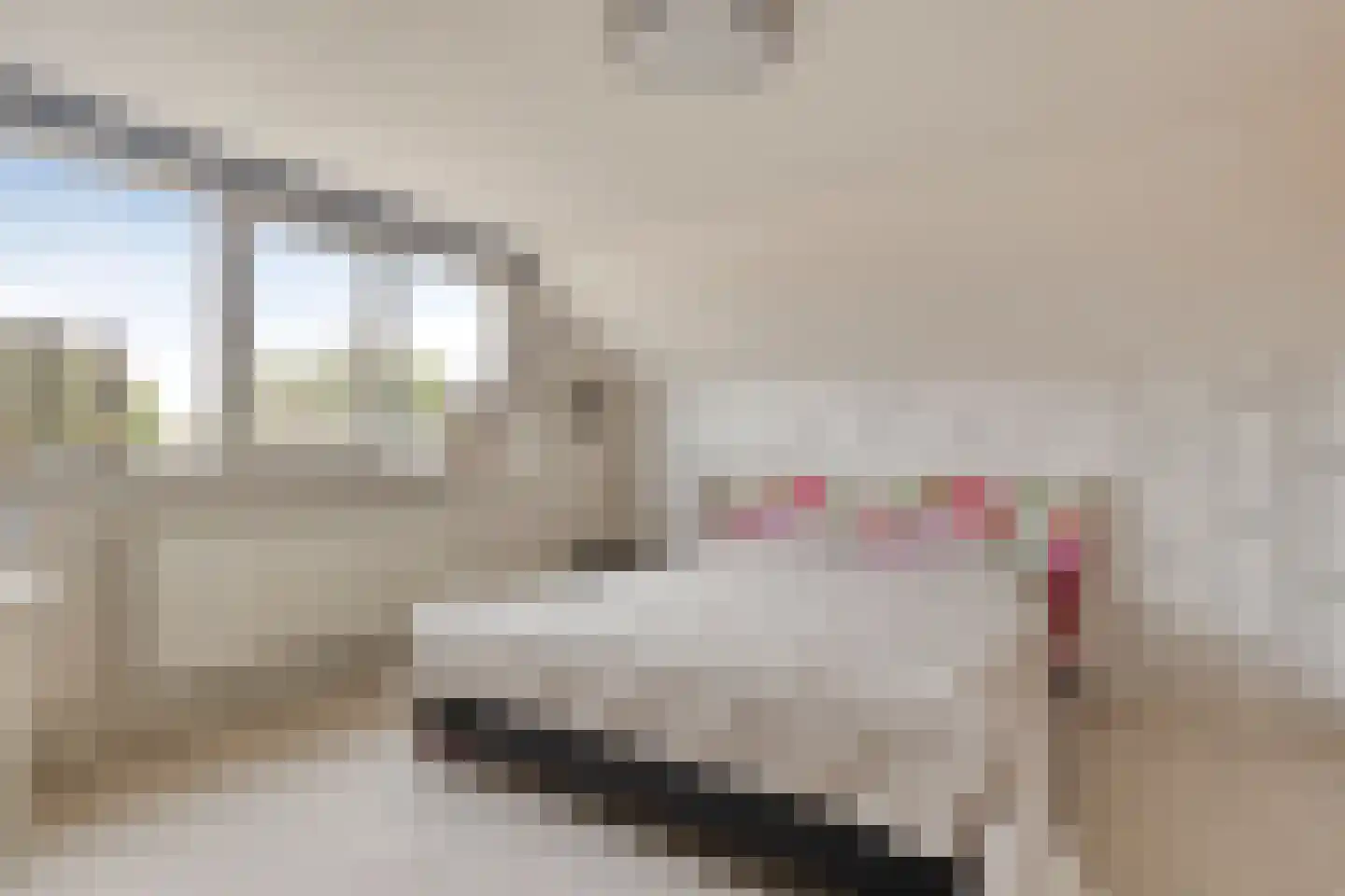 Koekoekslaan 52 Markelo thumbnail 37