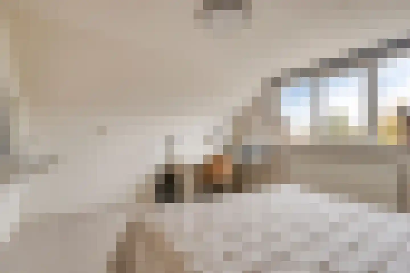 Koekoekslaan 52 Markelo thumbnail 38