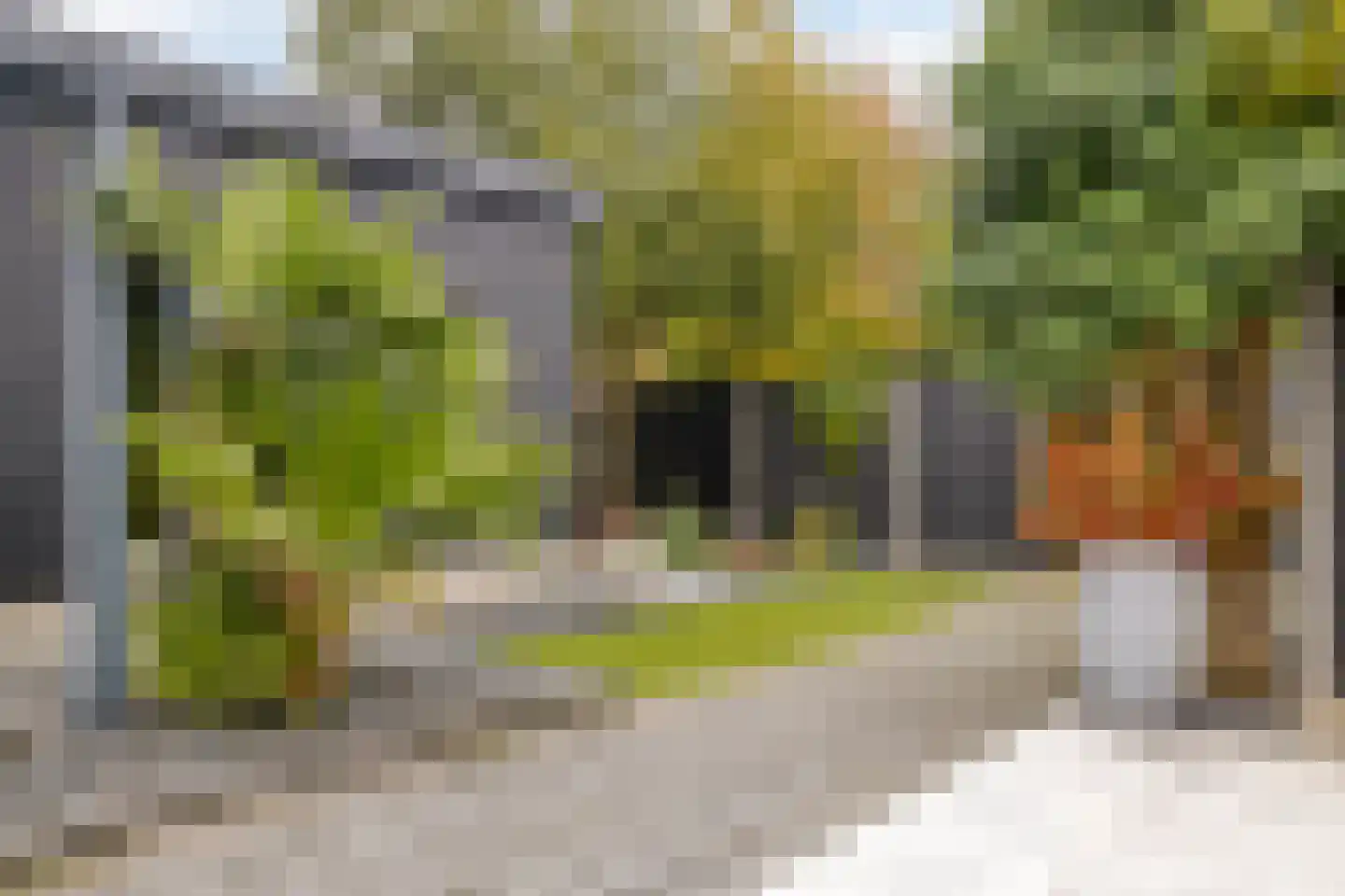 Koekoekslaan 52 Markelo thumbnail 45