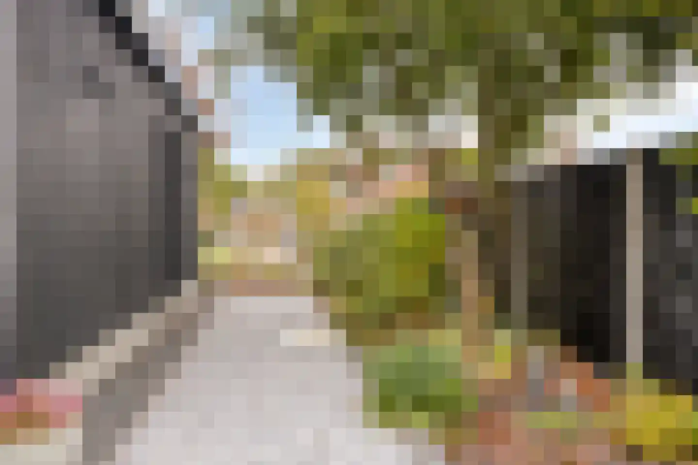 Koekoekslaan 52 Markelo thumbnail 46