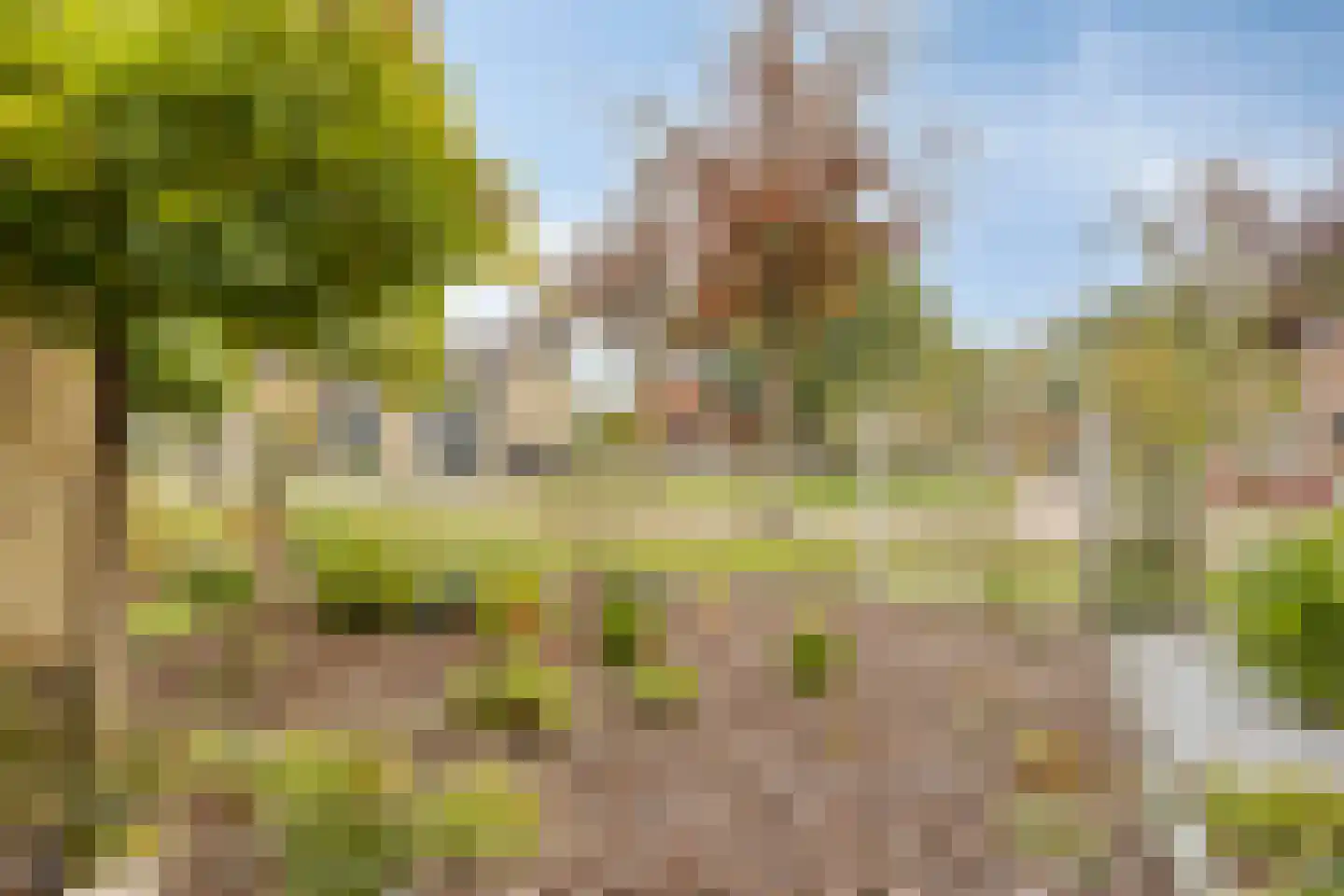 Koekoekslaan 52 Markelo thumbnail 47